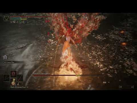 Elden Ring Player Will Keep Crushing Malenia With New Builds Until DLC ...