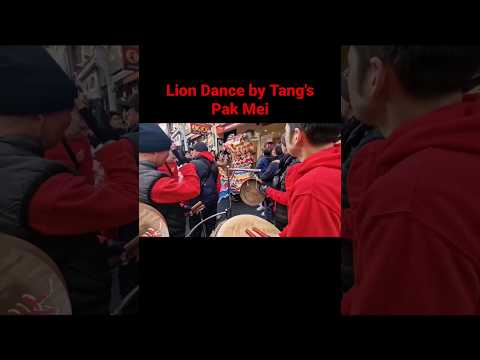 Lion Dance By Tang S Pak Mei