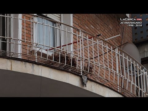 Ayuntamiento de Albacete estudia la aparición de restos de "supuestos pollos" secándose en un balcón