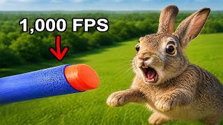 We Hunted Rabbits with the World's Most Powerful NERF Gun!