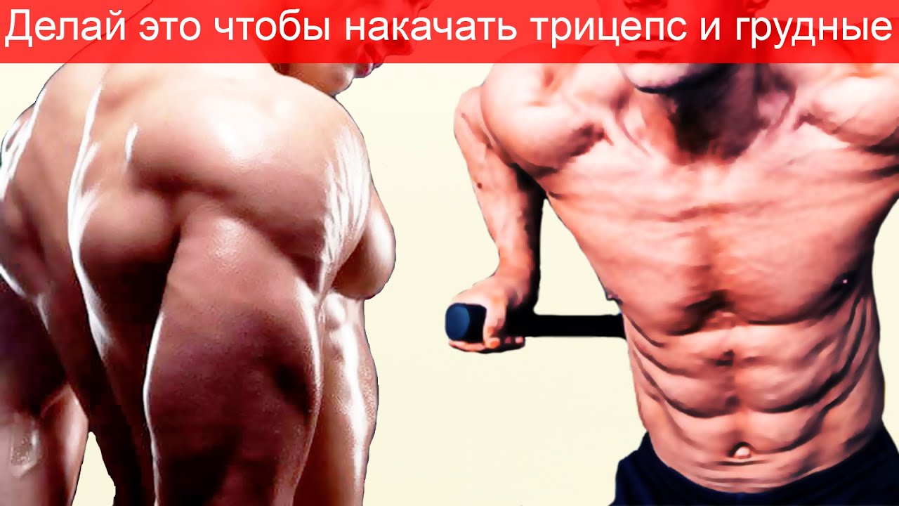 ���������� ���� ������������: ����.