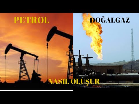 Petrol ve doğalgaz nasıl oluşur. Herkes için belgesel. Belgesel videoları