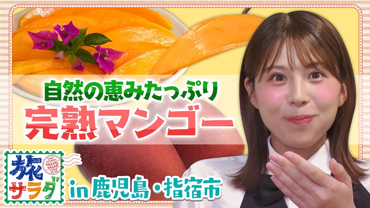 Nature's Bounty🌞] Ripe mangoes full of farmers' love! - YouTube