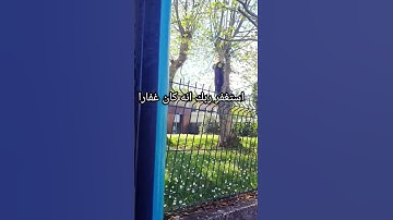 #ارح_قلبك #راحة #ايات #قران_كريم #سورة #ارح #حالات_واتس #رمضان