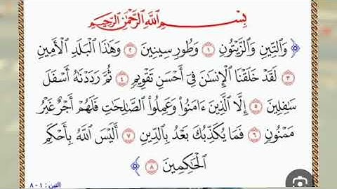 سورة التين محمد الفقيه