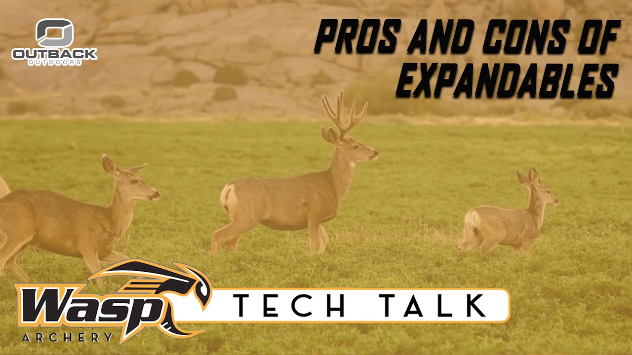 What are the Pros and Cons of Expandable Broadheads ?