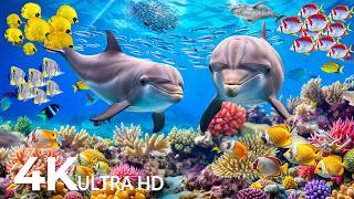 Amazing 4K Ocean Adventure 🐳 Dive Deep and Marvel at Sea Animal in The Best 4K ULTRA HD Aquarium #96