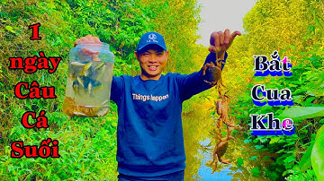 Câu Cá Suối, Câu Tôm, Bắt Cua Khe Bằng Cần Tre Mini