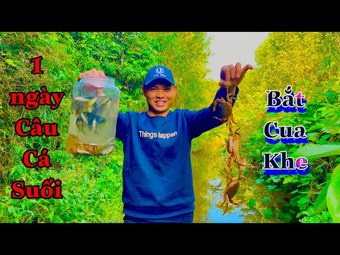 Video Câu Cá Suối, Câu Tôm, Bắt Cua Khe Bằng Cần Tre Mini - youtube