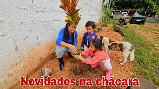 A CHÁCARA TÁ GANHANDO VIDA CHEGARAM OS PRIMEIROS BICHINHOS!!! 
