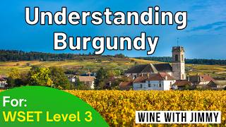 Understanding The Burgundy Appellation structure for WSET Level 3