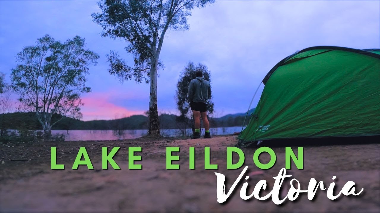 Searching for Yellow belly/Golden Perch on Lake Eildon - Redfin Catch and Cook