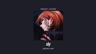 playboi carti - sky [slowed + reverb]