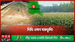 শালবন উন্নয়নের নামে কোটি কোটি টাকার প্রকল্প! | Altadighi National Park | Naogaon News | Somoy TV