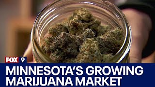 Homegrown marijuana: Inside Minnesota's growing market
