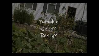 Somebody's Backyard Pumpkin Patch 9/24/21
