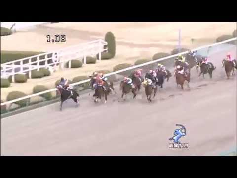 コーラルステークス 2014　エアハリファ 優勝