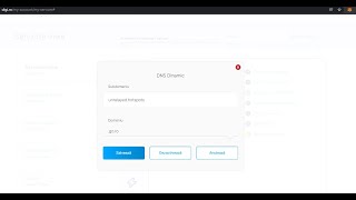 Config DNS dinamic DIGI pentru port forwarding Hotspot Helium screenshot 4