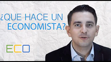 Cosa può fare un economista?