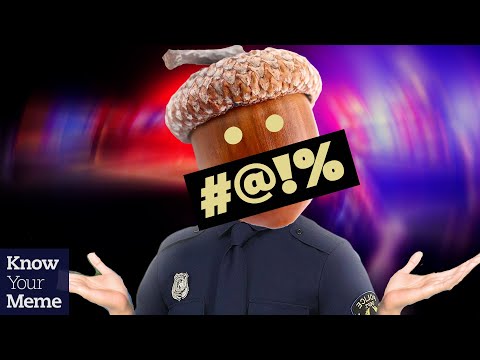 Florida Deputy Mistakes Acorn For Gunshot And Becomes A Meme Florida Deputy Mistakes Acorn For Gunshot And Becomes A Meme