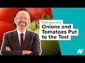Les oignons et les tomates valus pour leur efficacit contre lostoporose