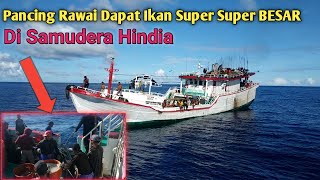 Penangkapan Ikan Long Line Kapal Benoa Di Samudera Hindia,Hasilnya ikan Besar2