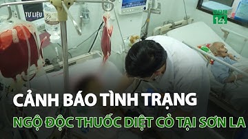 Cảnh báo tình trạng ngộ độc thuốc diệt cỏ tại Sơn La | VTC14