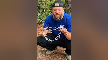 How to Put a Prong Collar on Your Dog