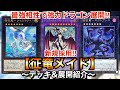 【遊戯王】最強相性で強力ドラゴン盤面を展開‼︎新規採用征竜メイド【デッキ&展開紹介】
