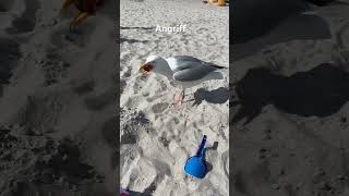 #Ostsee #Deutschland #Meer #Strand #angriff