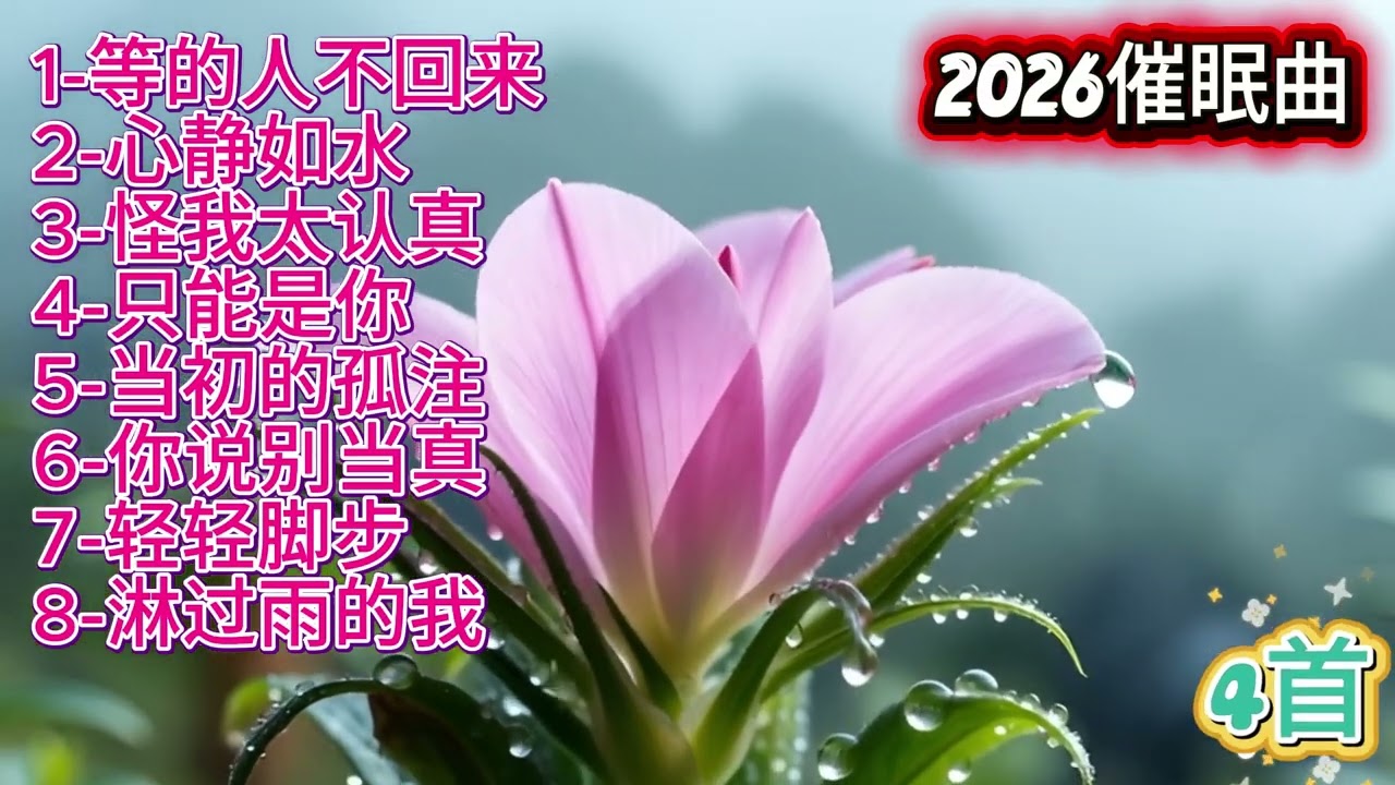 2026抒情催眠曲《等的人不回来》#必听热门歌曲 #抖音 #疗愈歌曲 #抒情小曲集