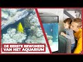 DE EERSTE BEWONERS VAN HET AQUARIUM KOMEN VANDAAG!!🐠 - #758