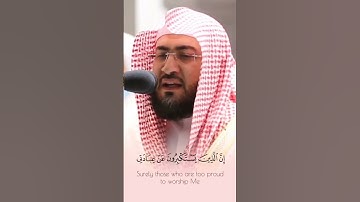 تلاوة حجازية بديعة🤩 || فضيلة الشيخ د.#بندر_بليلة