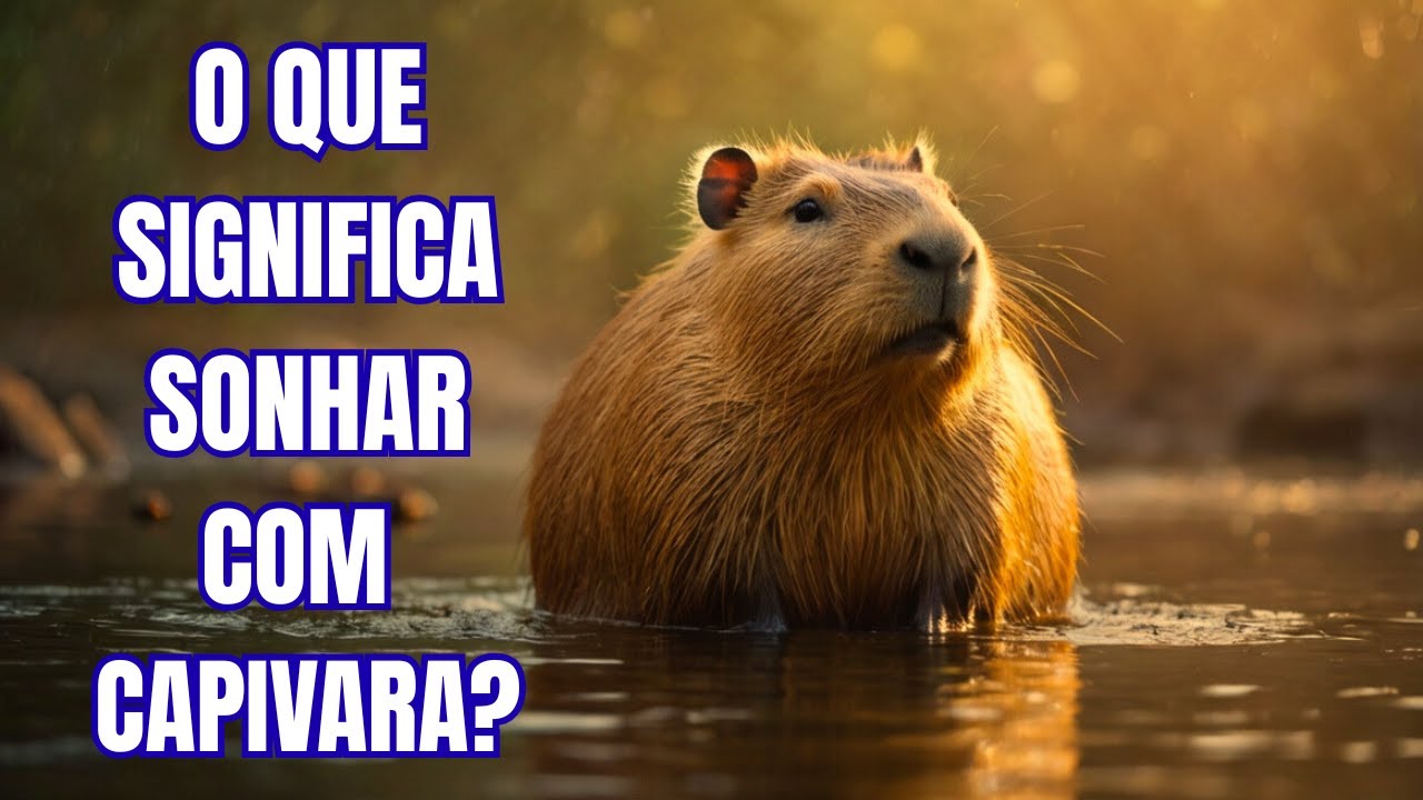 O que significa sonhar com capivara? Descubra agora! - YouTube