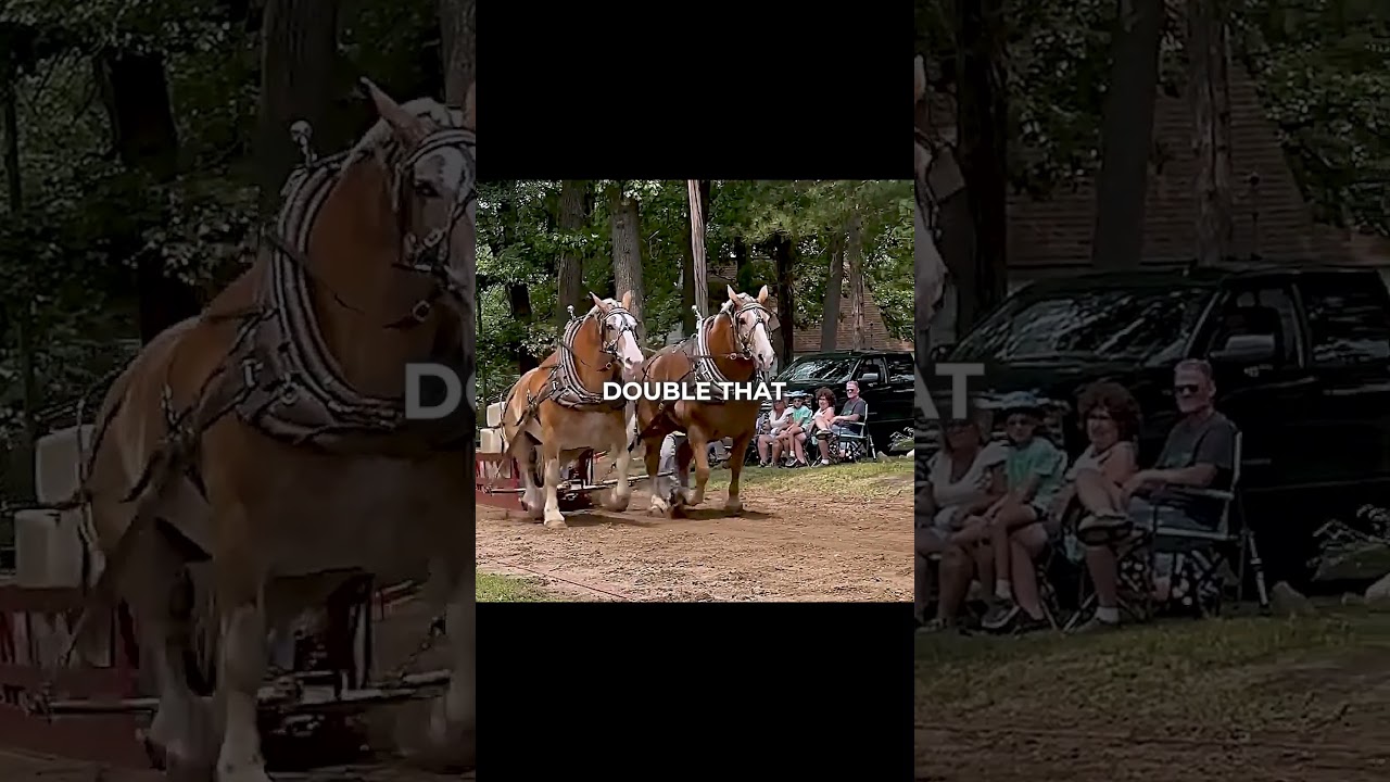 You can't do it alone...