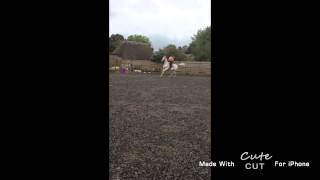 jumping upto 1.20m