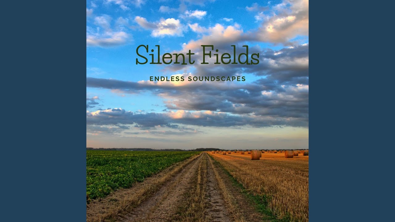 Guarda Silent Fields su YouTube Guarda Silent Fields su YouTube