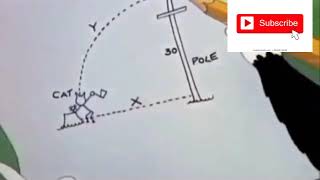 Trigonometry use in daily life | Tom  and Jerry | funny memes | study with fun | applications