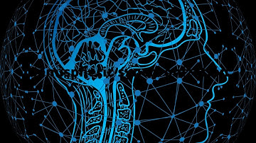 Hemispheric Synchronization or brain wave synchronization  is when two sides of the brain