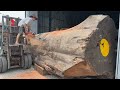 Amazing Techniques Professional Wood Cutting // How We Cutting A 1000 Year Old Giant Wooden Trunk!