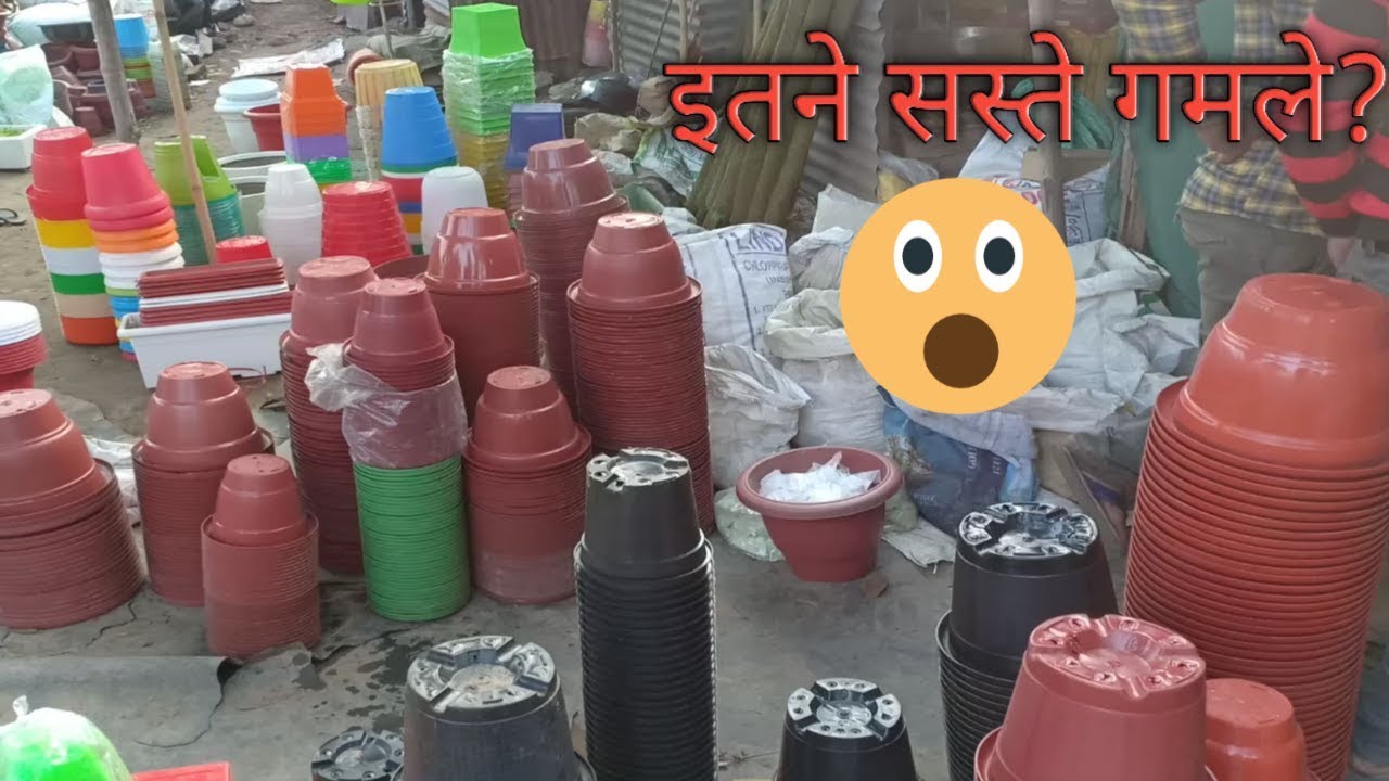 Jai Shiva Nursery Garden Shop Nangloi Delhi 41 YouTube jai-shiva-nursery-garden-shop-nangloi-delhi-41-youtube