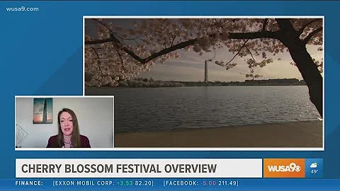 The National Cherry Blossom Festival is back in full swing through April 17