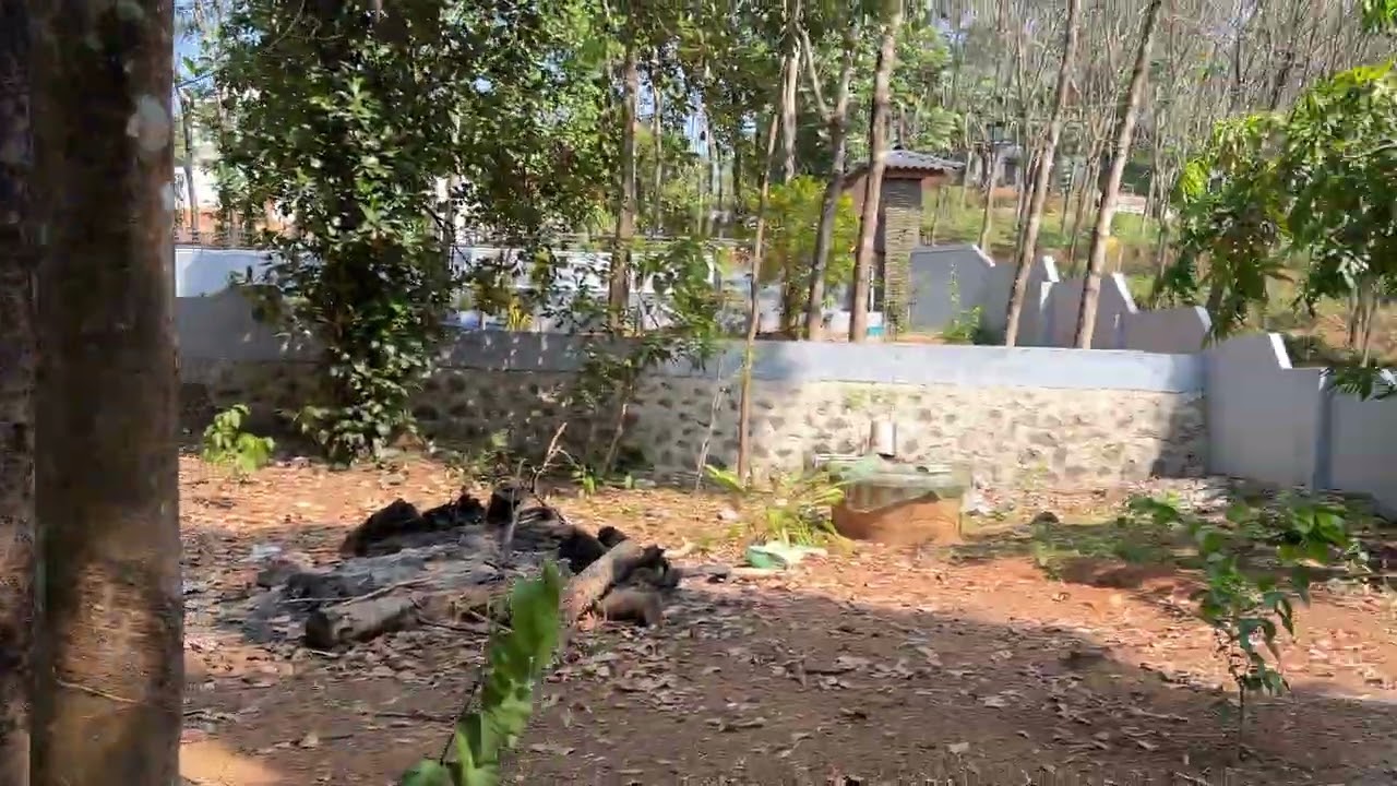 Ayoor Kollam Rubber Tree Plantation GuestHouse 