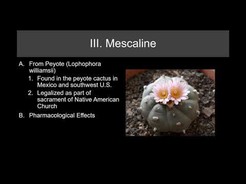 Lecture 20   Psychedelic Drugs Part 1