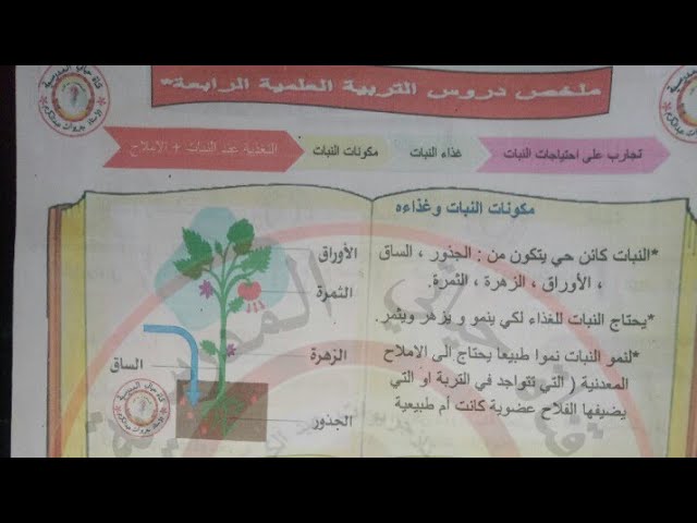 ملخصات التربية العلمية للسنة الرابعة + تكريم براعم القناة ( التحميل في علبة الوصف)