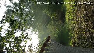 Lilly Wood - Player in C (AIZZO Remix Slow Version)