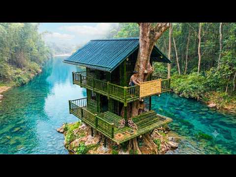 Una Mujer Construye una Casa de Bambú en un Árbol y Comienza su Vida en una Granja del Bosque