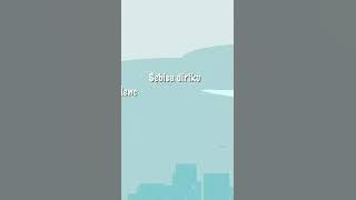 Vagetoz - Kehadiranmu #shorts