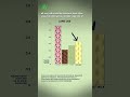 What do milk alternatives really do for the environment? #shorts #science #SciShow