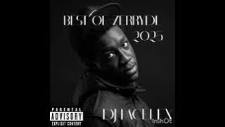 BEST OF ZERRYDL MIXTAPE 2025